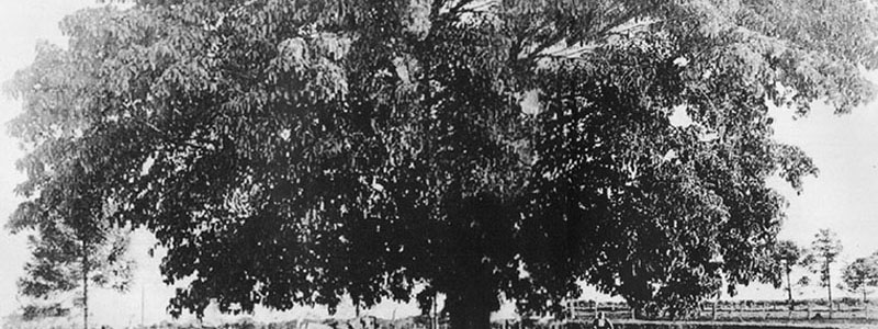 p 14-15