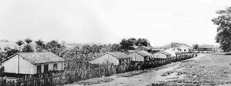 p 24-25
