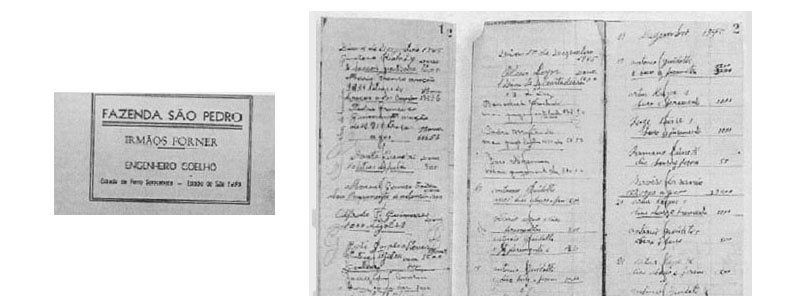 p 53-53