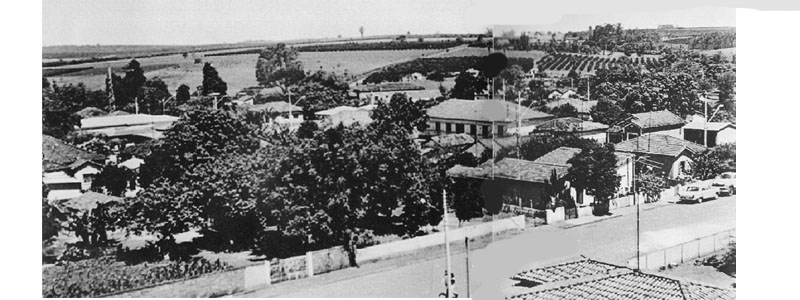 p 73-74