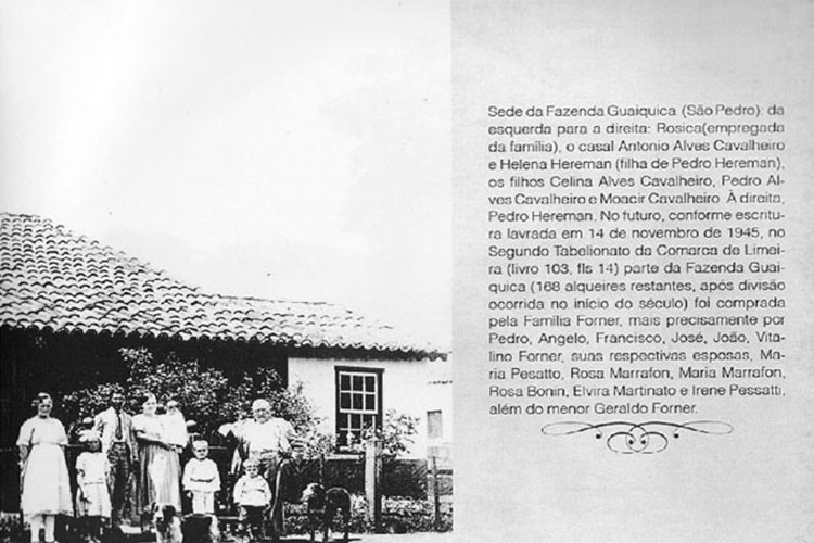 p 23/116