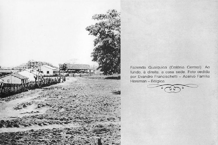 p 25/116