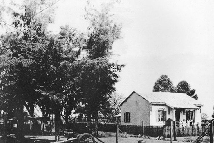 p 26/116