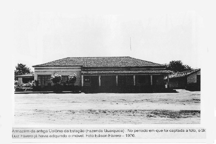 p 61/116