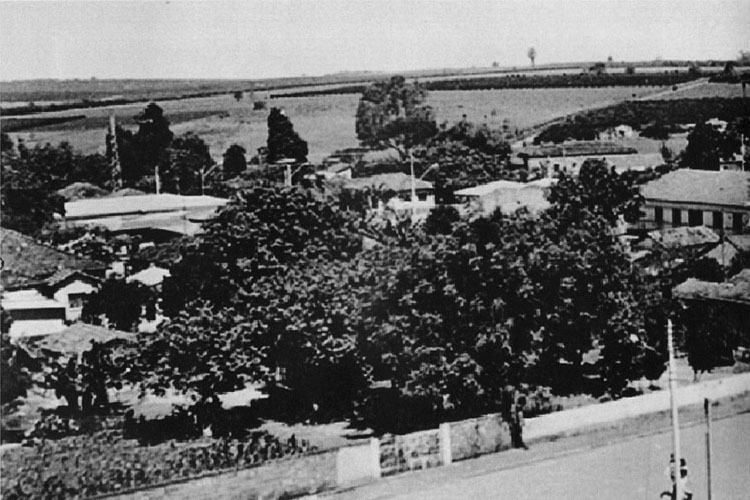 p 73/116